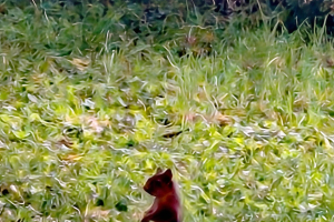 Recherche médecin généraliste pour collaboration association